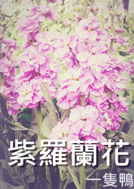 紫罗兰花图片花语
